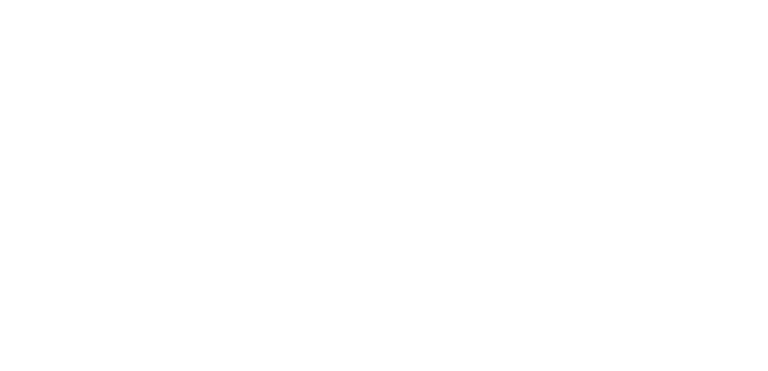 The Small Firm Logo
