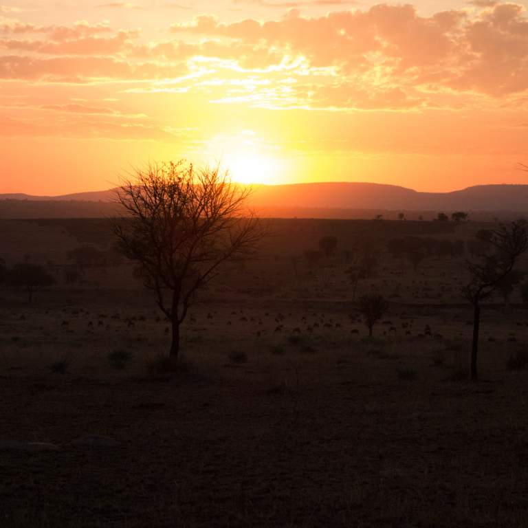 Joe and Kathy Curatolo Foundation