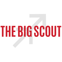 The Big Scout Logo