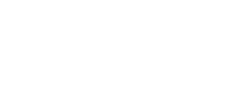 Laub International Inc. Logo