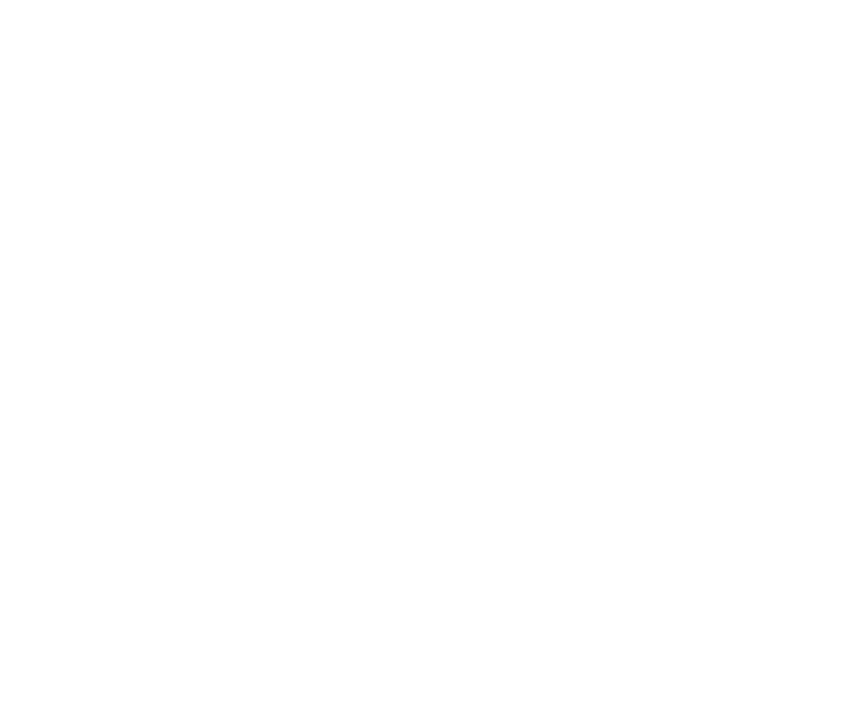 Sage Minds Logo