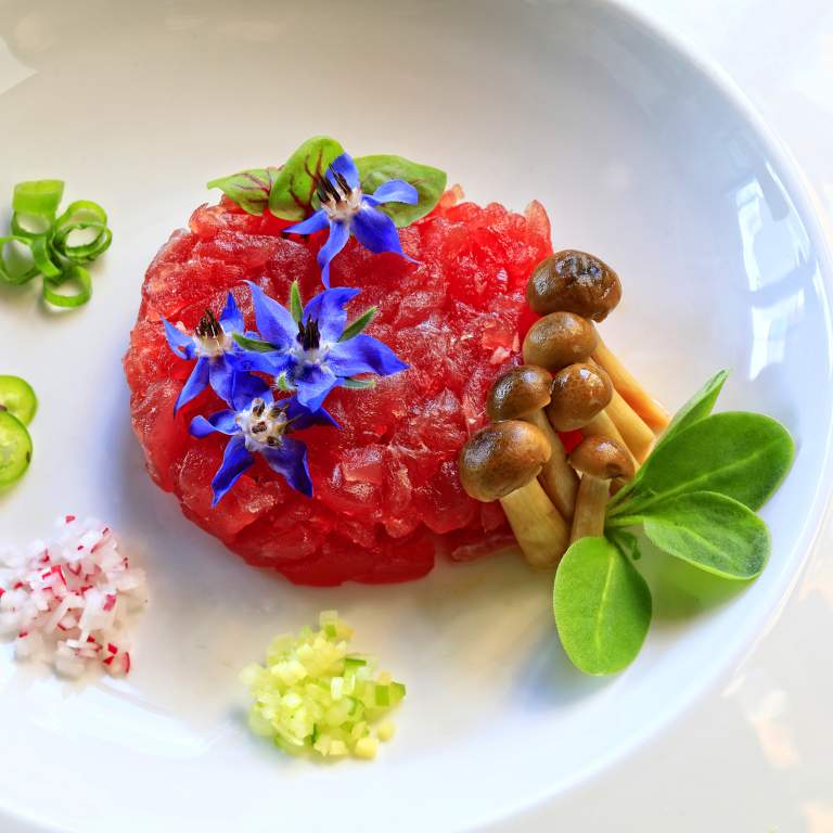 KC Kratt Photography