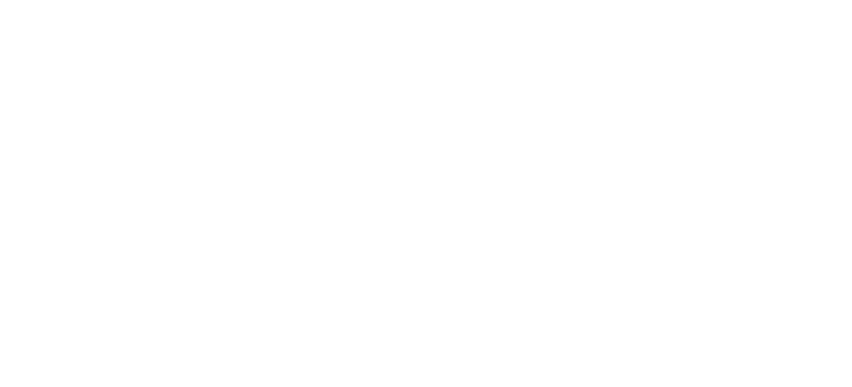 Strive Sports Performance Logo