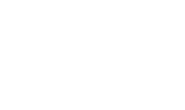 AccessCare Vascular Logo